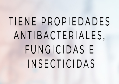 propiedades antibacteriales